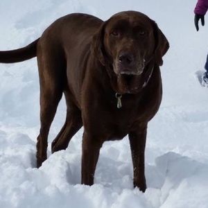 Meet your Posher, Stephanie